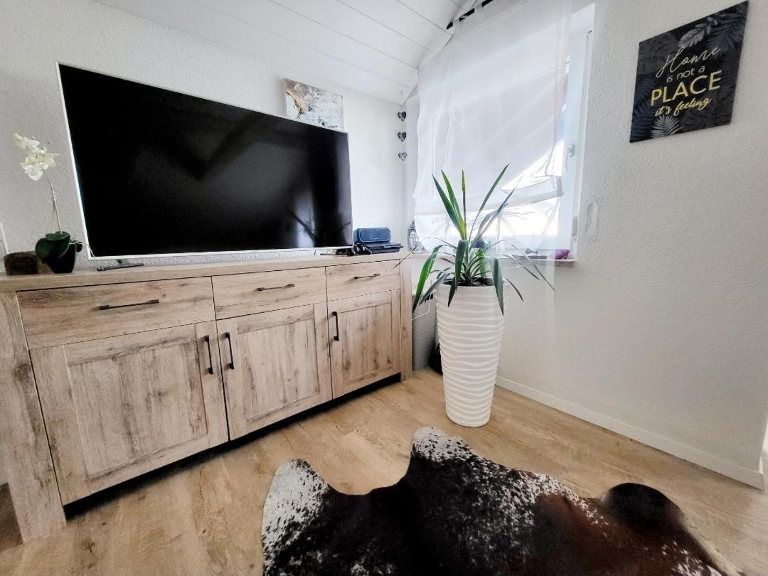 Stern Apartment Wehr  エクステリア 写真